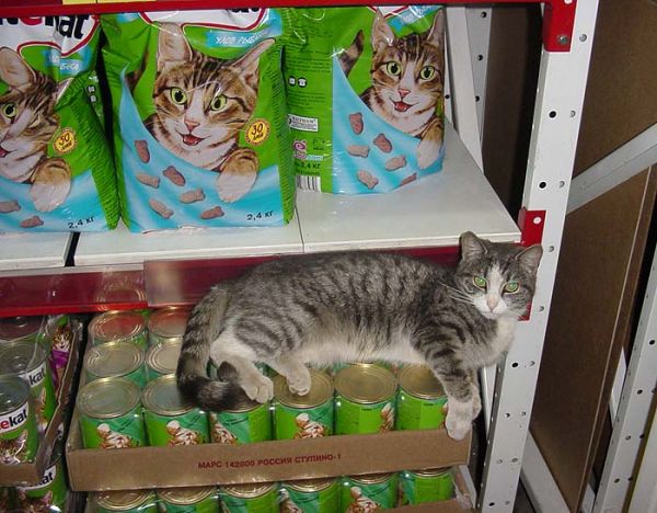 жизнь удалась ! жизнь удалась !