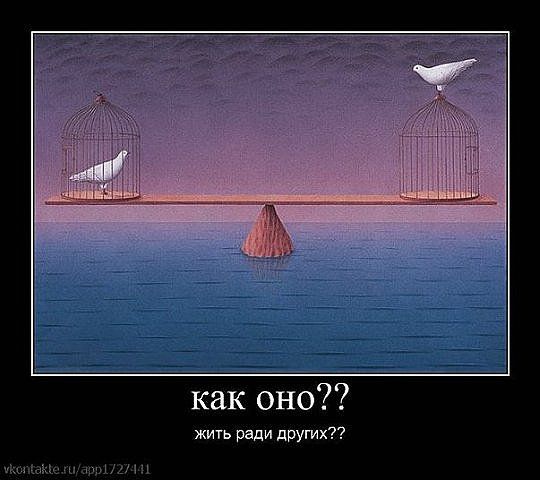 а как бы поступил ты? а как бы поступил ты?