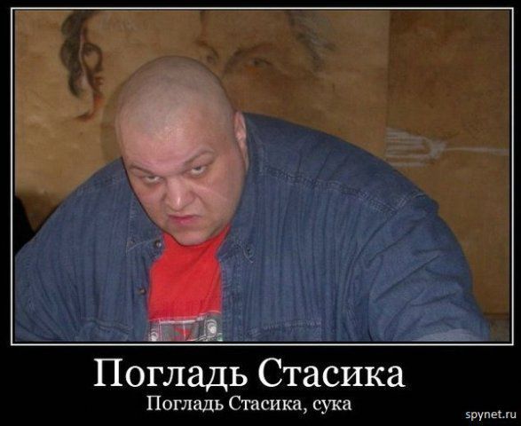 погладь Стасика, заебал :x:x:x погладь Стасика, заебал :x:x:x