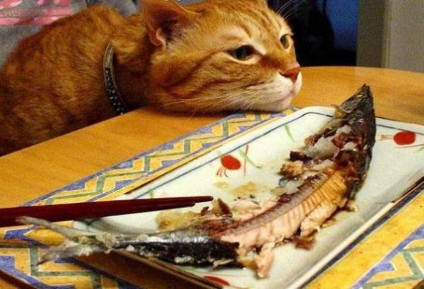 больше не лезет..))) больше не лезет..)))